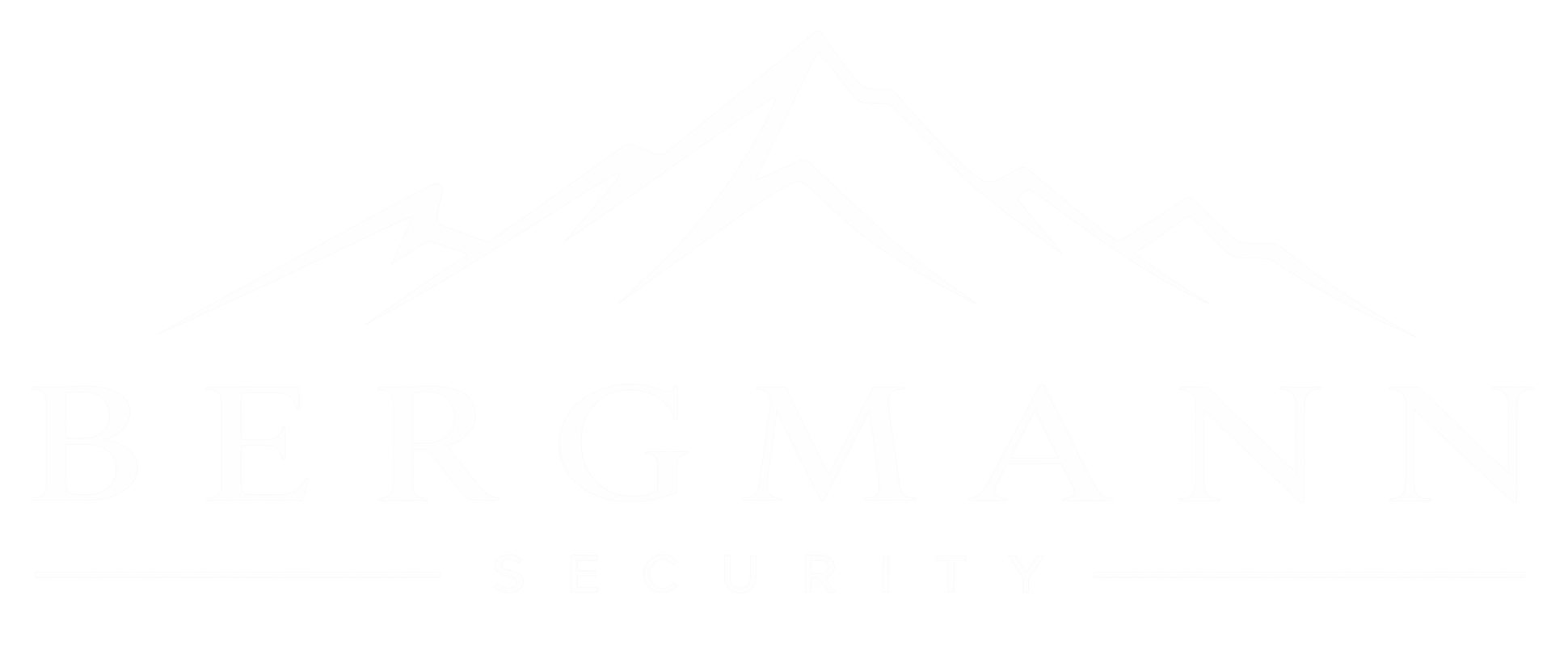 Bergmann Security